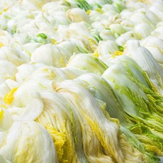 흙당 갓절인 명품 해남 땅끝마을 절임배추 김장배추, 1, 1박스, 10kg