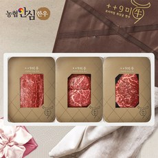 [구미우] 1++9등급 구이정육 늘찬 한우 선물세트 6호 불고기+국거리+장조림/각300g/총900g, 1세트