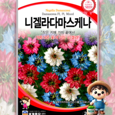 모칸도 (무배)세계 니겔라다마스케나 꽃씨 (200립), 1개