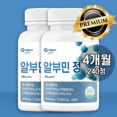 큐랩온 식약청 인증 알부민 고함량 아미노산 단백질, 2개, 120정