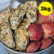 [초특가] 통영 석화 굴, 1개, 석화 2kg + 홍가리비 1kg