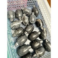 泰國龍宮烏龜無花殼，安全無毒材質，增加活動空間，易於清潔，水族箱裝飾, 1個