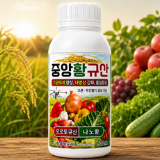 중앙 황규산 규산황 내병성 생육촉진 수량성증대 품질향상, 2개, 500ml