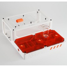 개미키우기 사육장 여왕개미 집 관찰교구 곤충, (옵션1) 레드 개미집