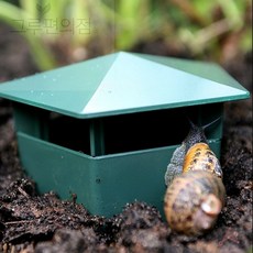 달팽이 집 달팽이 키우기 달팽이용품