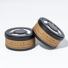 스타투스 커피향 방향제2P 차량용 헤이즐넛향 카라멜마끼아또향 화장실 사무실 자동차 방향제, 브라운, 헤이즐넛2p