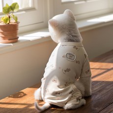 베일리펫 강아지옷 애견의류 테디 항균 올인원, 베이지, 1개