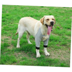 강아지 무릎 보호대 앞다리 관절 재활 반려견 무릎 보호대 활동 강아지산책 미끄럼 슬개골 방지 산책, 그레이 2XL