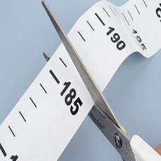 콩마켓 키재기스티커 아이방벽지스티커
