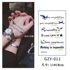 草本果汁圖案紋身貼 英文個性紋身貼, 1個, T13-GZY-11(11x18cm)