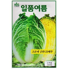 영농사 일품 여름 배추 씨앗 500립 고온에 강한 여름배추씨, 1개