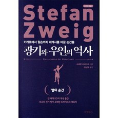 광기와 우연의 역사