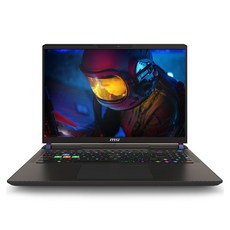 MSI 2024 벡터 16 HX 코어i9 인텔 14세대 지포스 RTX 4090, 코스모스 그레이, VECTOR 16 HX A14VIG-i9 QHD, 1TB, 32GB, WIN11 Pro