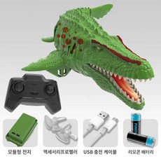 고속단정 고속 보트 알씨, 충전현란한조명원격제어창룡(그린), 공식표준배치, 1개