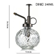 複古歐式鵰花玻璃澆水壺 小型噴壺, 1個, 透明白噴壺,銀色塑料電鍍噴頭