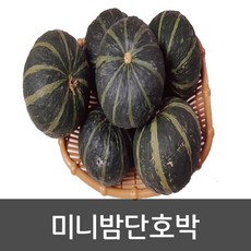 약수농장 국내산 미니밤단호박 2kg(6수~10수), 1개