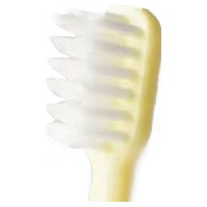 汪喵星球 犬貓專用牙刷 (細軟毛) 一般平頭/單束尖頭/單束平頭, 黃色