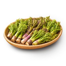 [첫출하특가] 자연산 참두릅 당일수확 산지직송, 300g, 1박스