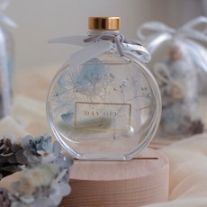 DAY OFF 浮游花乾燥花永生花小夜燈禮盒，聖誕節交換禮物，玻璃罩繡球玫瑰花裝飾，拍照道具, 無(浮游花)