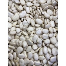 白鳳豆 餡料專用豆, 1個, 一斤600克