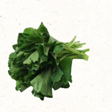 친환경 아욱 제철 아욱나물 국거리 신선채소, 1kg, 1개, 1kg