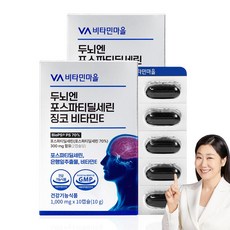 비타민마을 두뇌엔 포스파티딜세린 징코 비타민E, 6박스, 10정