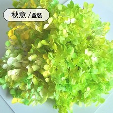 雨林薰舍 永生多彩繡球花材料盒裝 永生乾花 DIY裝飾 木繡球 永生不凋繡球 DIY花材, 秋意(盒裝)