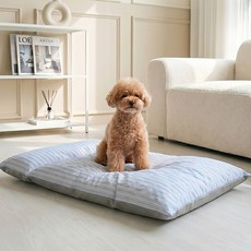 스피세프 사계절 양면 강아지 고양이 방석 방수 분리세탁 딥슬립 반려동물 쿠션, 1개, 블루
