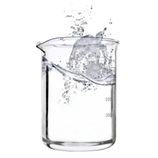 드그라쎄 하바리움 만들기 보존화 용액, 1개