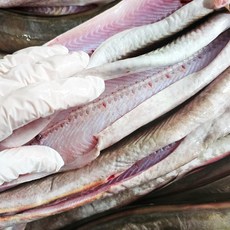 응답하라삼천포수산 손질 갯장어 하모 1kg 2팩 남해안 자연산 바다장어 스테미너 보양식 장어탕 추어탕, 2개
