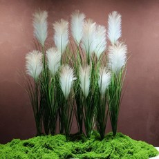 osshop 억새풀 인조 인테리어 갈대 조화, 5개, 1p 갈대조화 60cm - 화이트브라운
