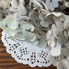 VITO zakka 木繡球永生花DIY乾燥花植物浮游花材花藝材料包拍攝道具DIY創作花材20g, 多肉植物(灰紫綠漸變)(現貨)