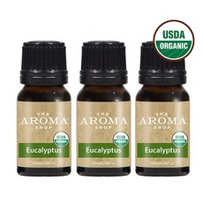 더아로마샵 USDA 천연 아로마 오일 테라피 숙면에좋은향 집중 기분전환 시너지, 3개, 10ml, 유칼립투스