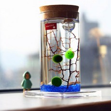 마리모키우기 LED 유리병 8x19cm 마리모어항 마리모유리병