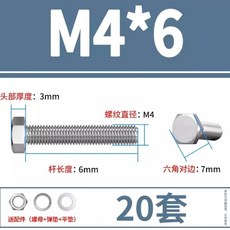 304不鏽鋼外六角螺栓螺母套裝組 M5*60 10套 耐腐耐銹外六角螺絲螺母組閤, 1個, M4*6  (20套）