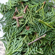 편백잎 가루 히노끼 분말, 300g, 1개, 1개입