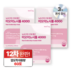 뉴트리정 리얼 콜린 미오이노시톨 4000 엽산 대용량 60포, 3박스, 300g