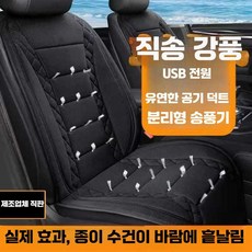 스포티지 열선시트 온열시트 제품 24v 전기장판 전기매트 블랙12v, 1개, 6. USB 베이지 싱글 비즈니스형
