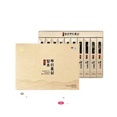 동진제약 발효뿌리홍삼 20g 10개입 1박스 동진홍삼정과