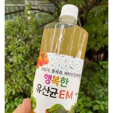 유산균음료, 1L, 6개