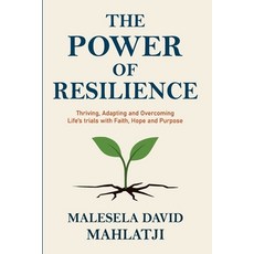 (英文圖書)The Power of Resilience 平裝版, Daverose Matrix Pty Ltd, 英文