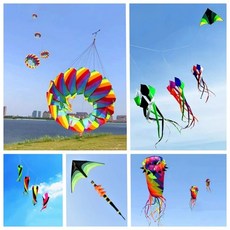 대형 연 전문가용 성인용 연 야외 장난감 바람 연 나비 뱀 디자인, 10m 레인보우 테일