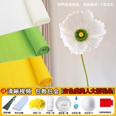 페이퍼 키트 종이꽃 포토존 재료 대형 수제 DIY 만들기 주름 종이 웨딩 꽃 만들기재료, B. 흰색 (1팩)