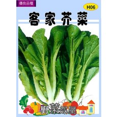 【野菜部屋】H06 客家芥菜種子 適合做酸菜 秋冬季播種, 1包