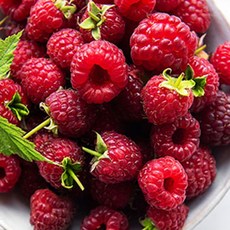 국내산 산딸기 새콤달콤 급냉 산딸기 산지직송 500g 1kg, 1박스