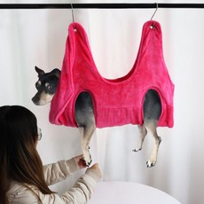 주아너스 반려동물 드라이 해먹, 핑크, 1개