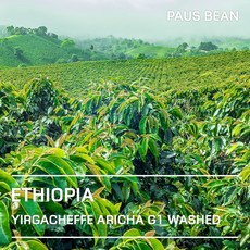 생두대빵 에티오피아 예가체프 아리차 G1 워시드 생두, 500g, 1개