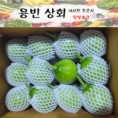 ( 용빈 상회 ) 국내산 풋호박 조선호박 둥근호박, 1박스, 5개