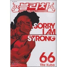 블리치 BLEACH 66, 서울미디어코믹스(서울문화사), 쿠보 타이토 글,그림