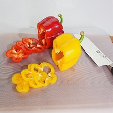 소담해 일회용 도마 롤형 캠핑용도마, 24cm